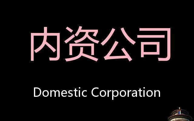 内资公司 Chinese Pronunciation Domestic Corporation哔哩哔哩bilibili