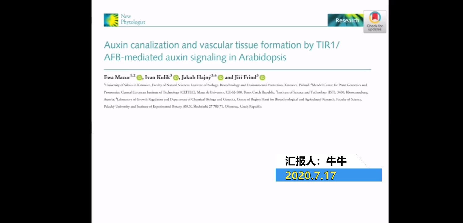 10分钟讲解高分植物研究文章 NP(IF=7.4)生长素调控维管组织的发育哔哩哔哩bilibili