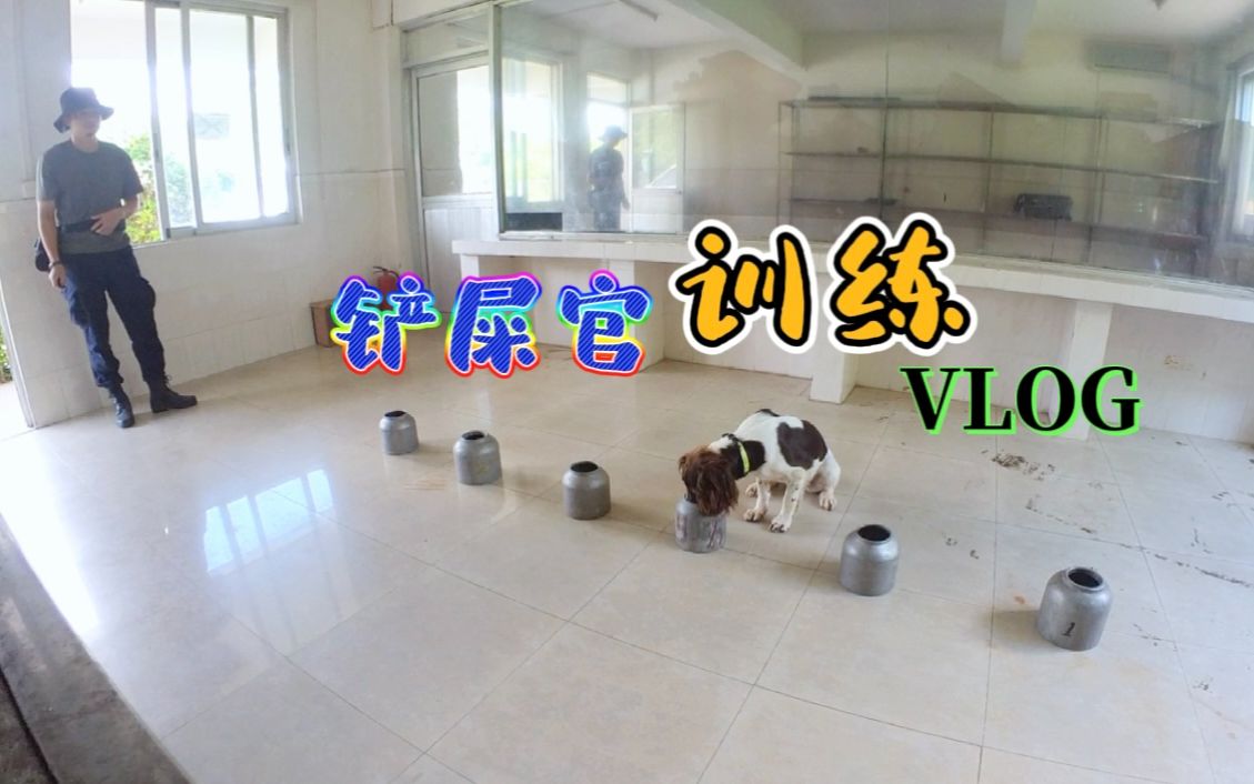 警犬日常训练哔哩哔哩bilibili