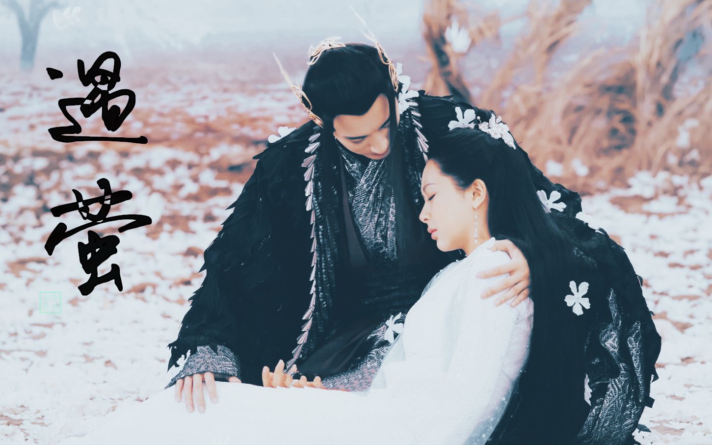 与你相遇在每个梦里【刘学义x杨紫||妖帝斩荒x白夭夭】下一世再与你永