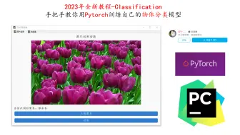 【大作业-10】手把手教你使用Pytorch训练自己的分类模型