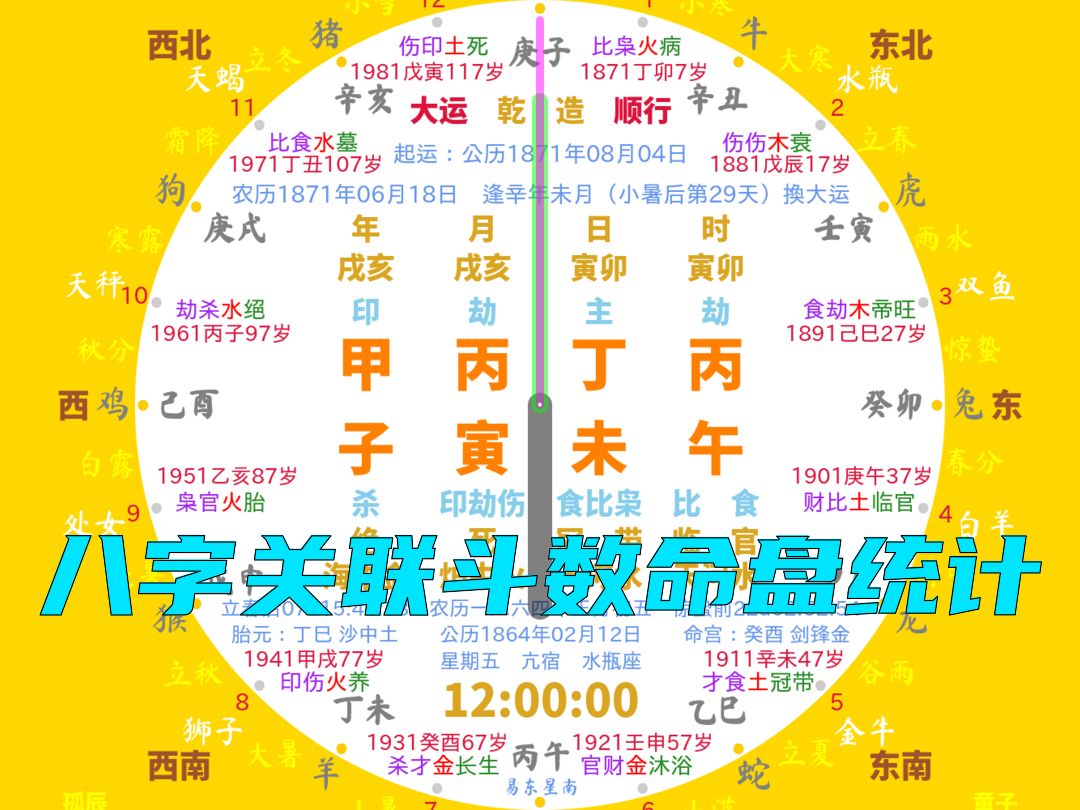 甲子年丙寅月丁未日十二时辰八字关联斗数命盘统计(下集)哔哩哔哩bilibili