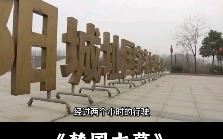 第2集,河南信阳挖出楚国黑棺.哔哩哔哩bilibili