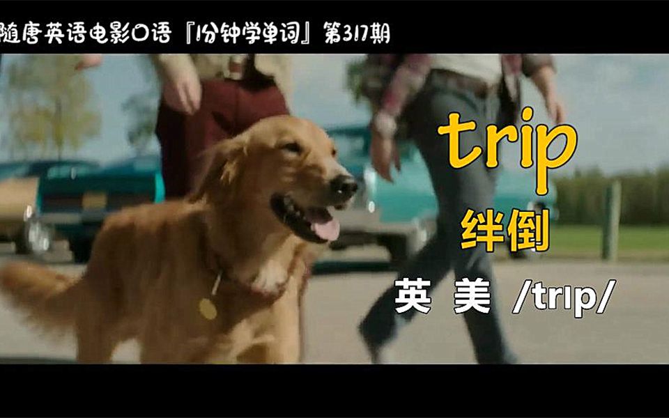 1分钟学单词第317期:trip[绊倒]哔哩哔哩bilibili