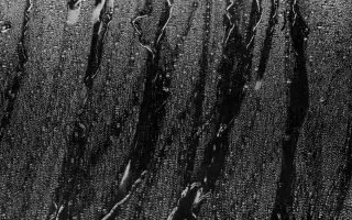 下雨素材 搜索结果 哔哩哔哩 Bilibili