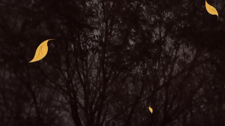 晚秋夜色萧瑟凄凉