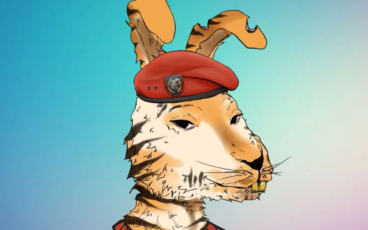 动物戴帽子喜欢吗