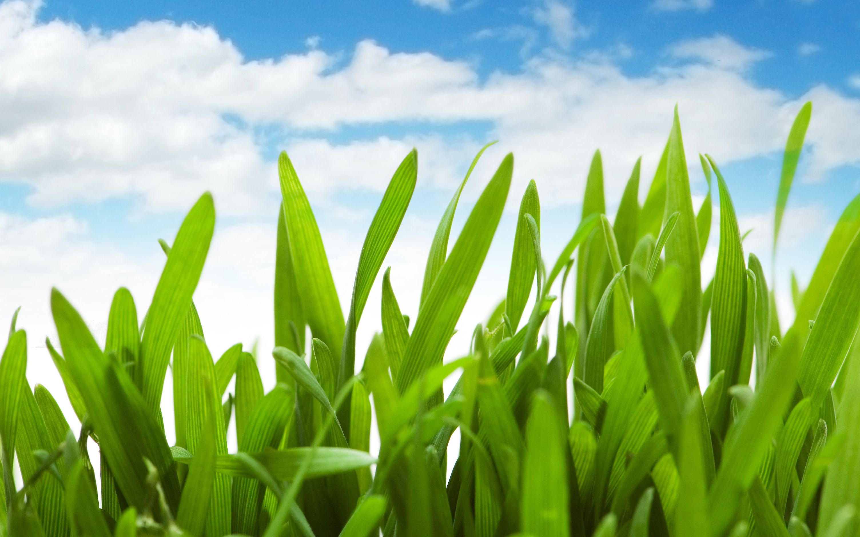 钢琴音乐放松古典音乐早晨慢跑冥想最佳唐加文