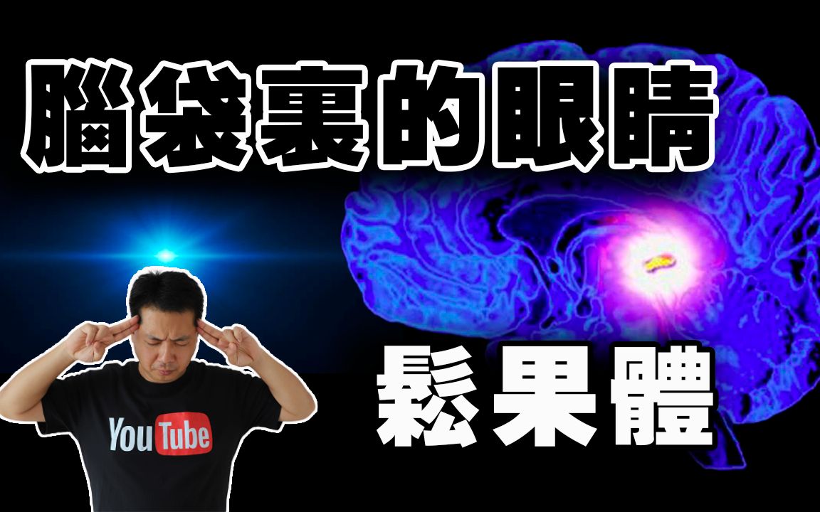 【心灵感应】人类曾经拥有却又退化了的超能力