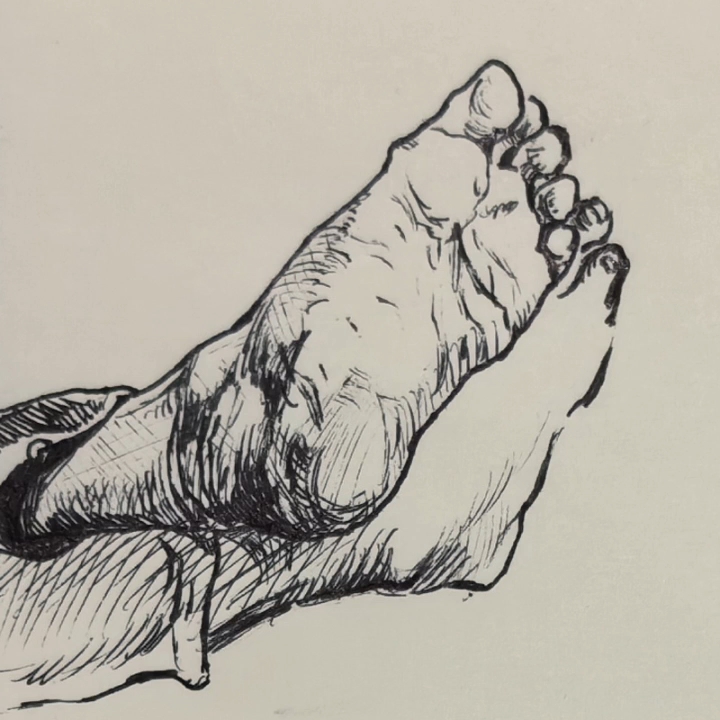 二宝的速写小画,猜猜这是谁的脚?