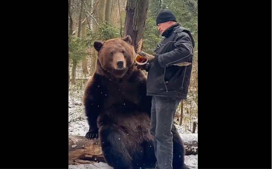 [图]🐻家养熊日志：爷爷带我去森林踢足球✨，喂我美味蜂蜜！