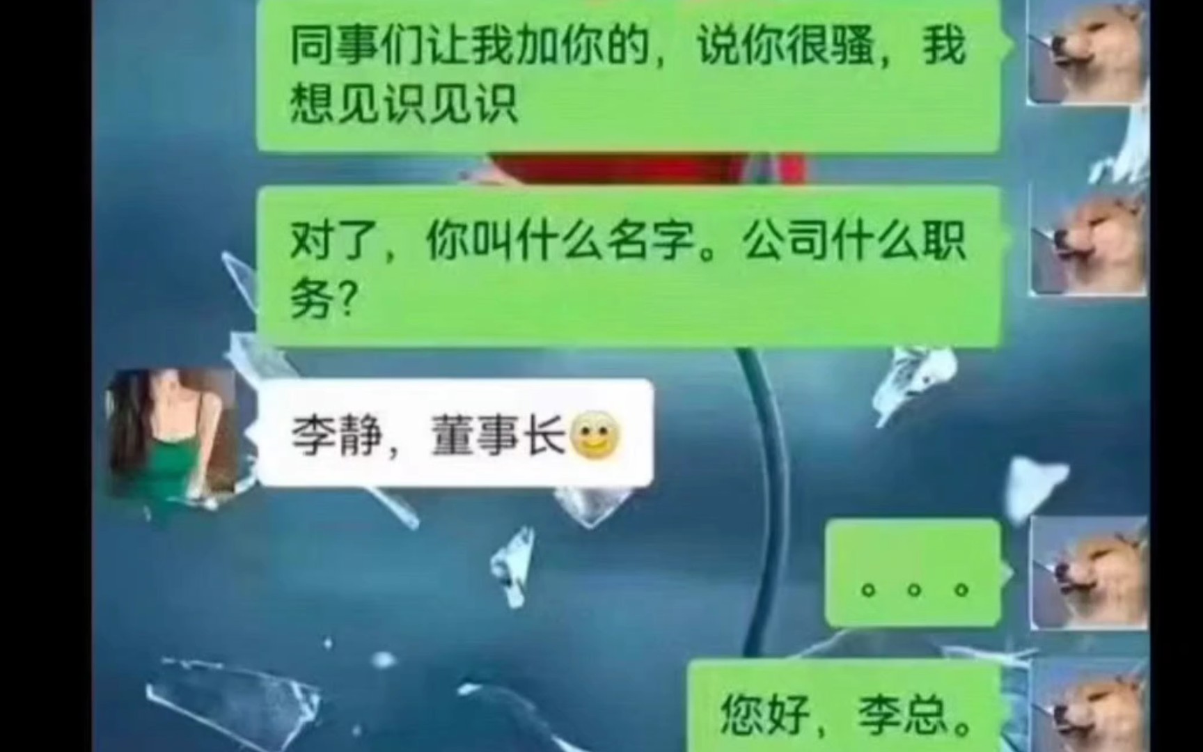 董事长,听说你很骚,我想见识一下哔哩哔哩bilibili