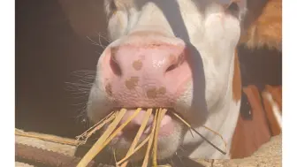 拍到谁兄弟吃饭了