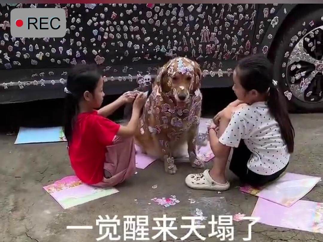 熊孩子把车上贴满贴纸,连狗子也没能幸免.狗:我其实也很怕放暑假的!