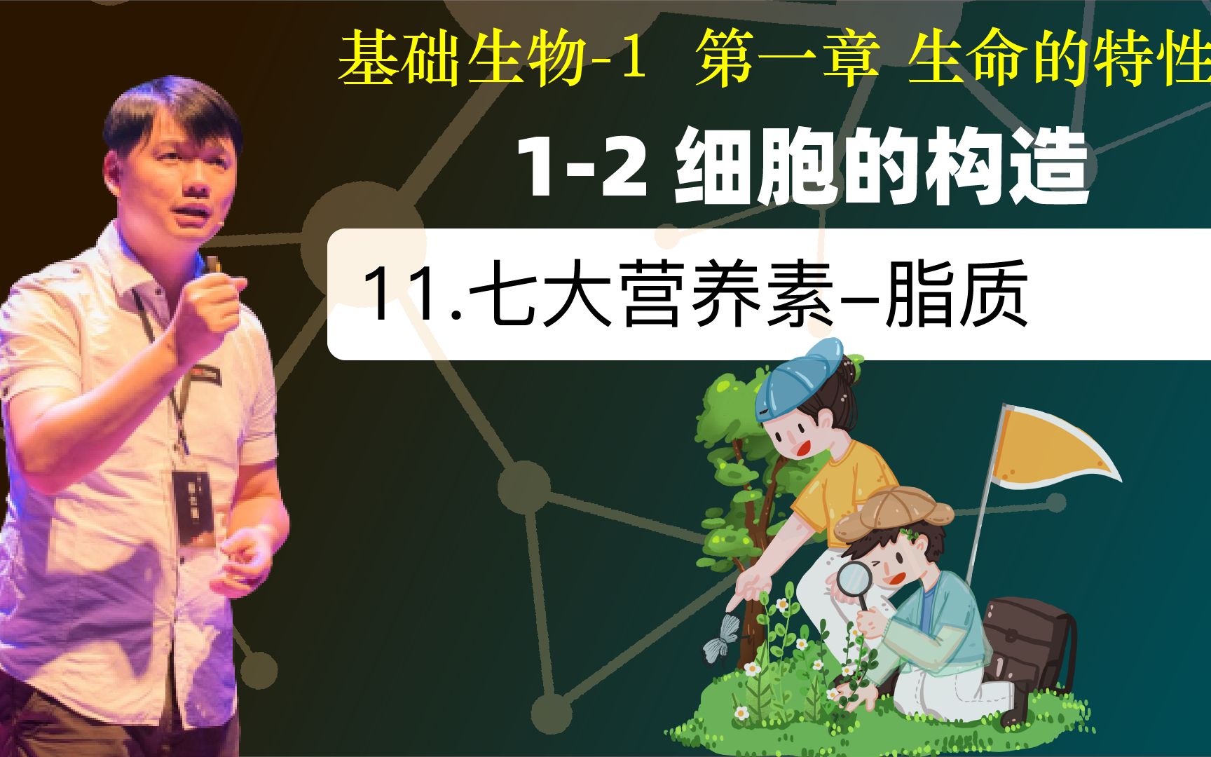 基础生物学 1.2.11 七大营养素脂质哔哩哔哩bilibili