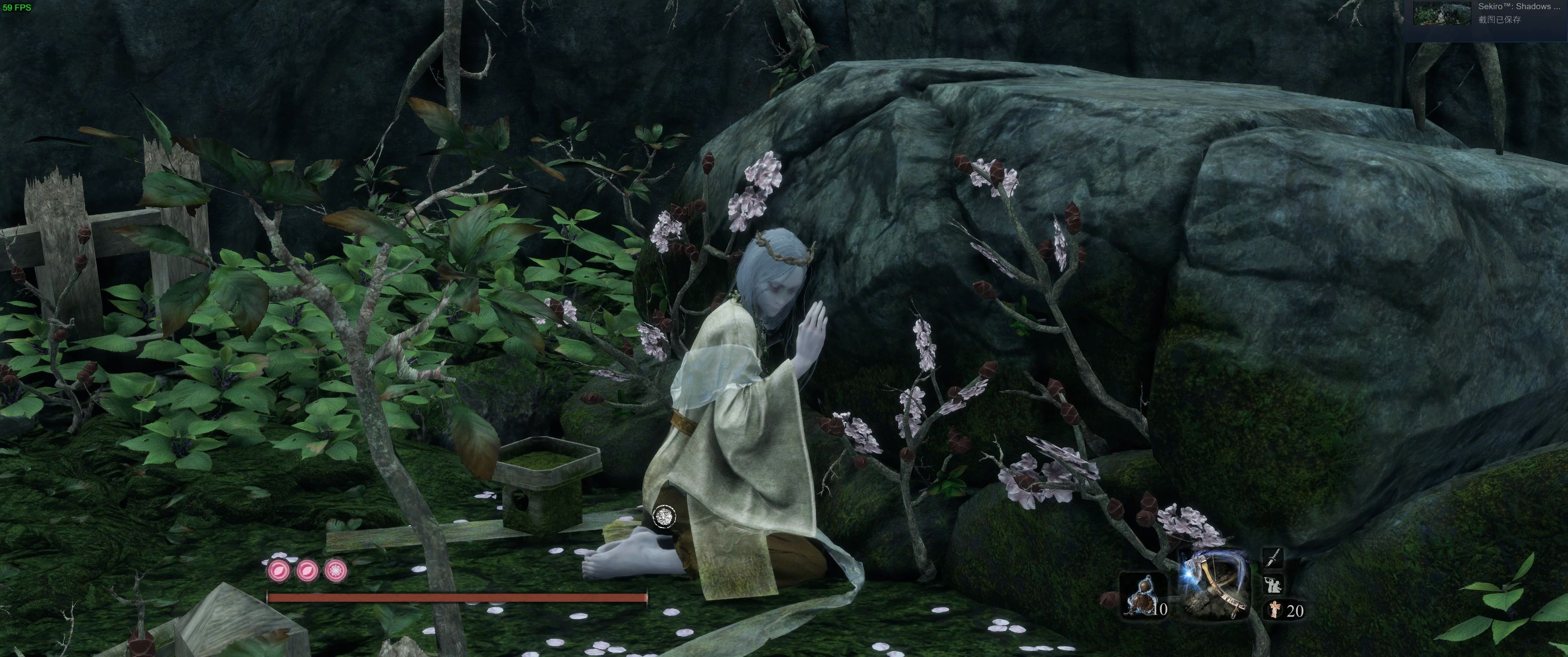 【拜泪 樱龙】《只狼》打樱龙剧情,中途看美女去了哈只狼:如何偷看二