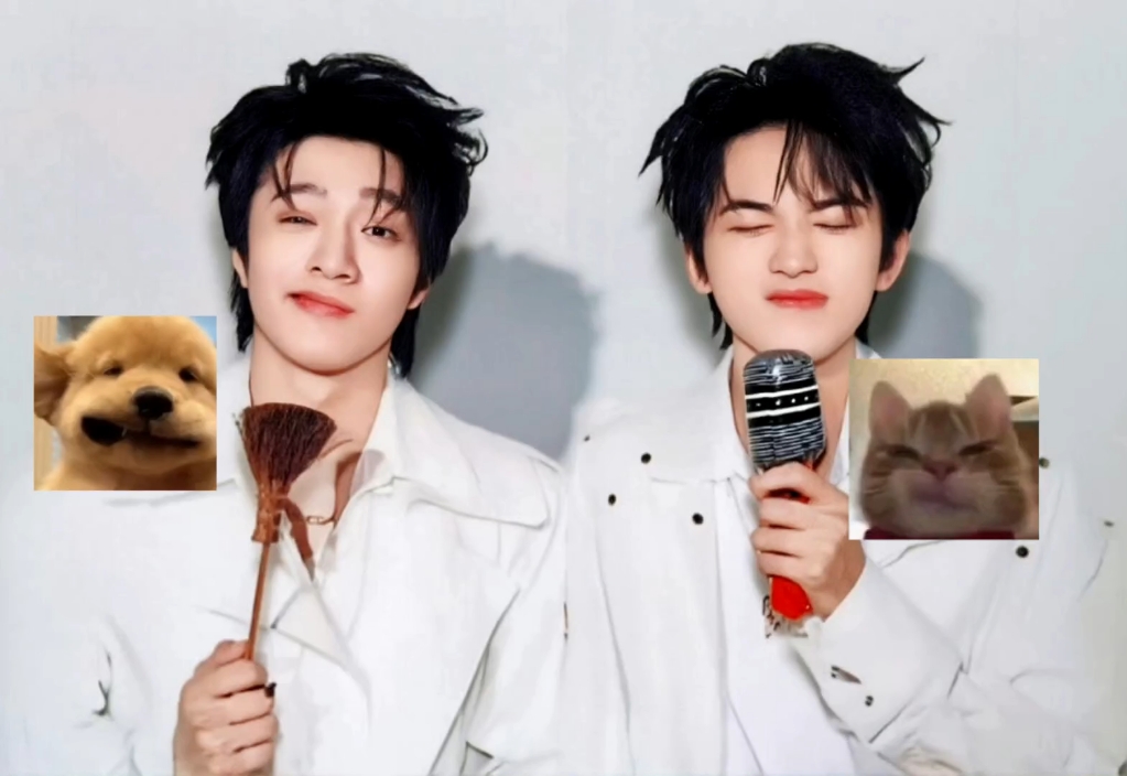 小狗小猫萌萌萌!