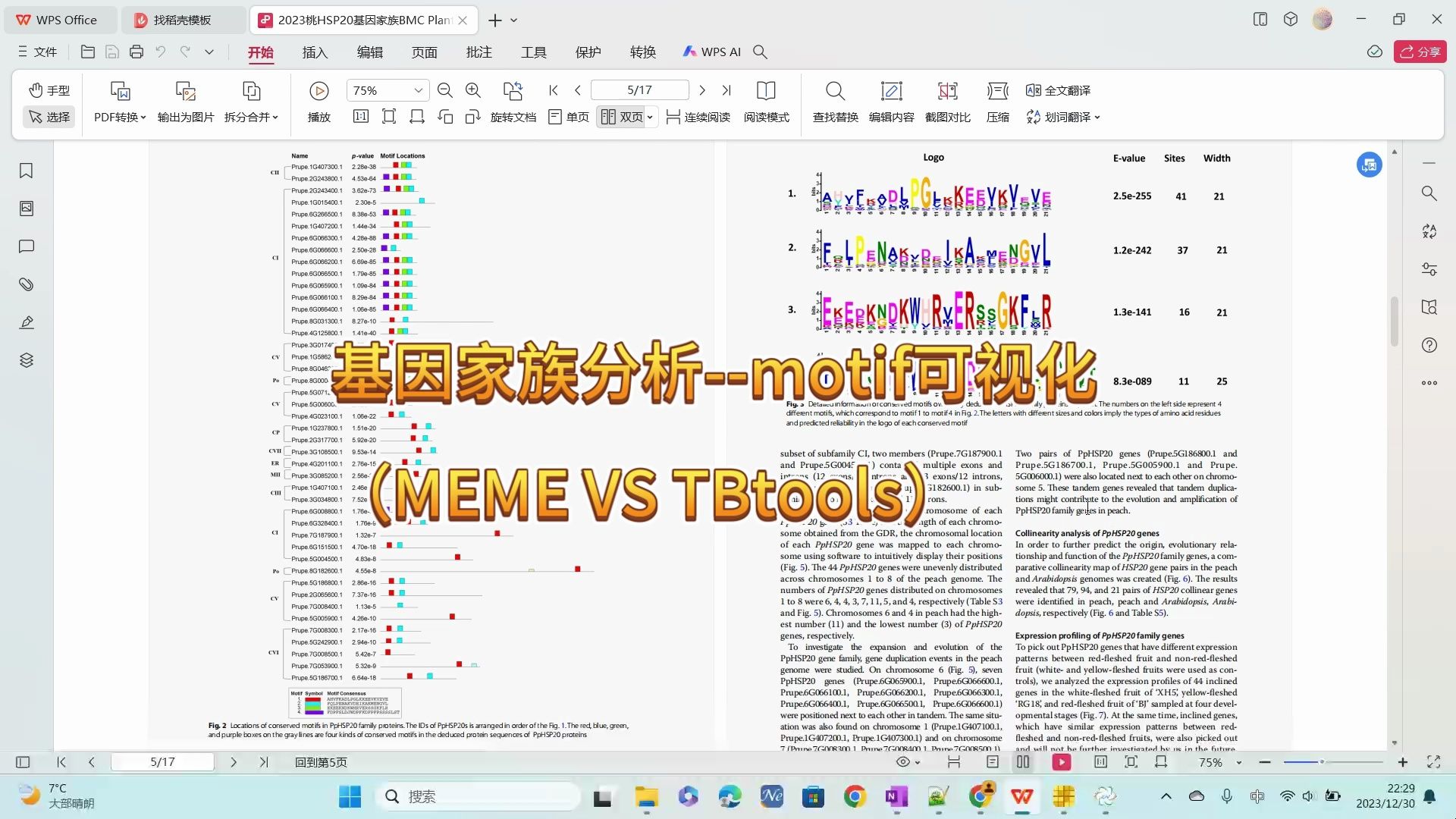 基因家族分析——motif可视化(MEME VS TBtools)哔哩哔哩bilibili