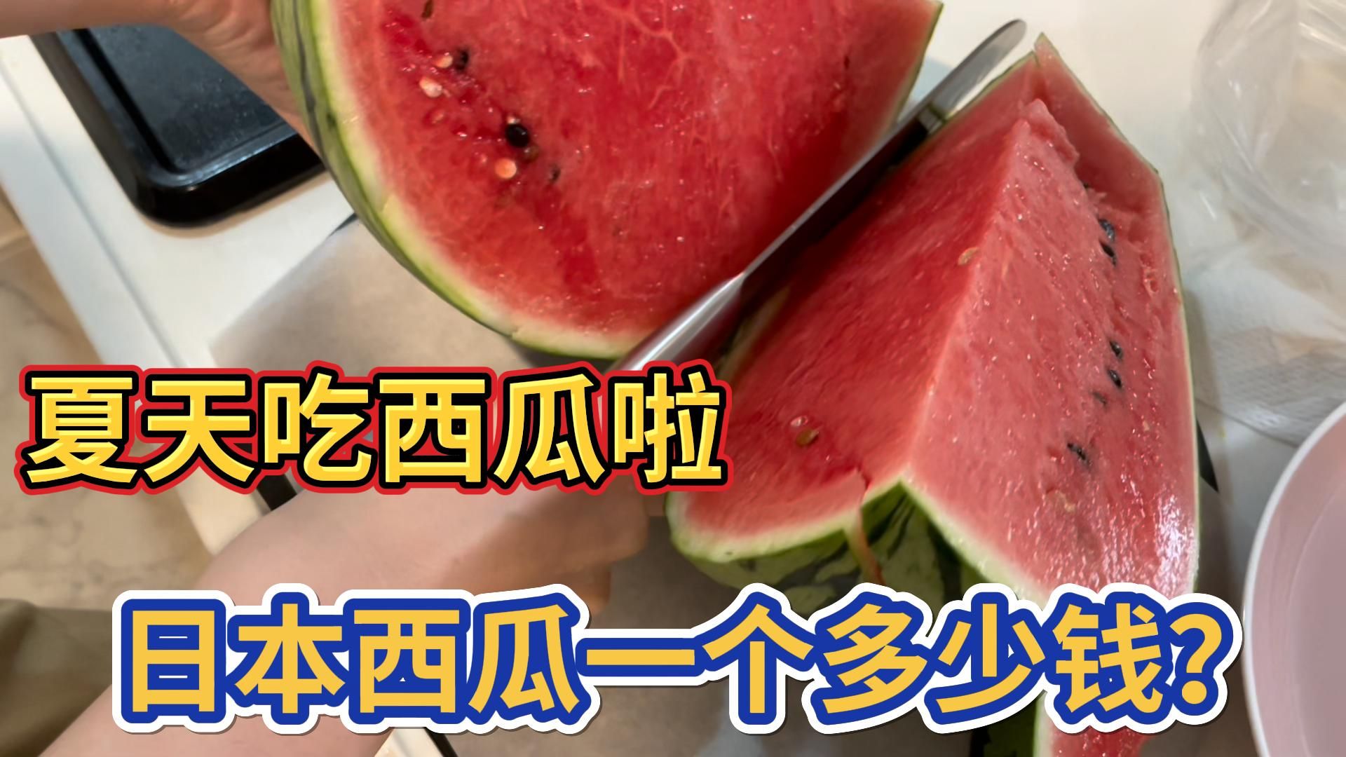 【日本物价】日本人吃不起西瓜?|日本西瓜价格|在日本买一整个西瓜要多少钱?你觉得贵不贵?哔哩哔哩bilibili