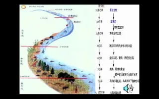 物质灭绝 哔哩哔哩 Bilibili