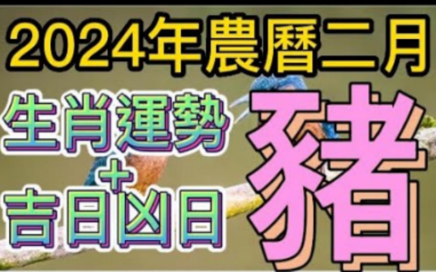 [图]【张古柏】每月运势吉日凶日2024年农历二月阳历2024年3.10~4.8生肖运势——_猪