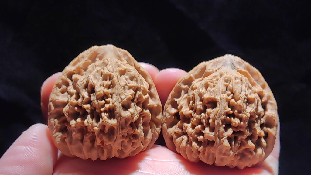 南疆石文玩核桃!万字纹!溜肩膀!十字尖!粗筋!精品!菊花底!