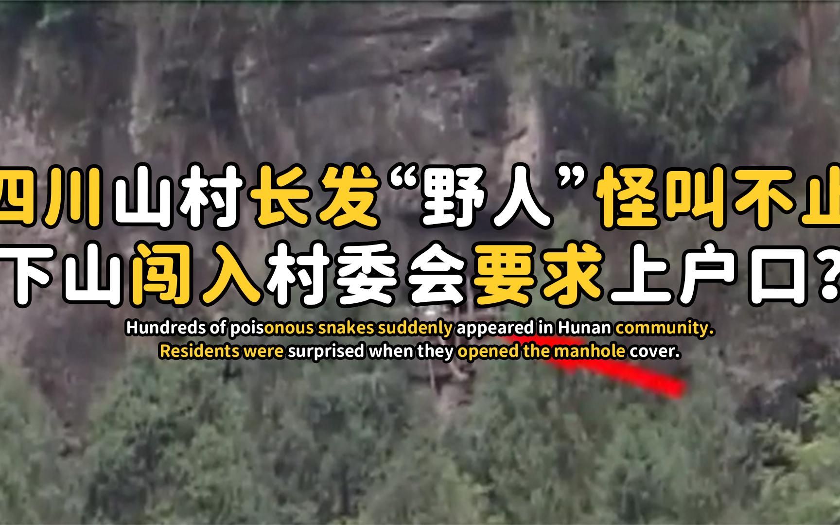 纪录片: 四川山村现长发"野人",村民半夜听到怪叫,野人下山要上户口?