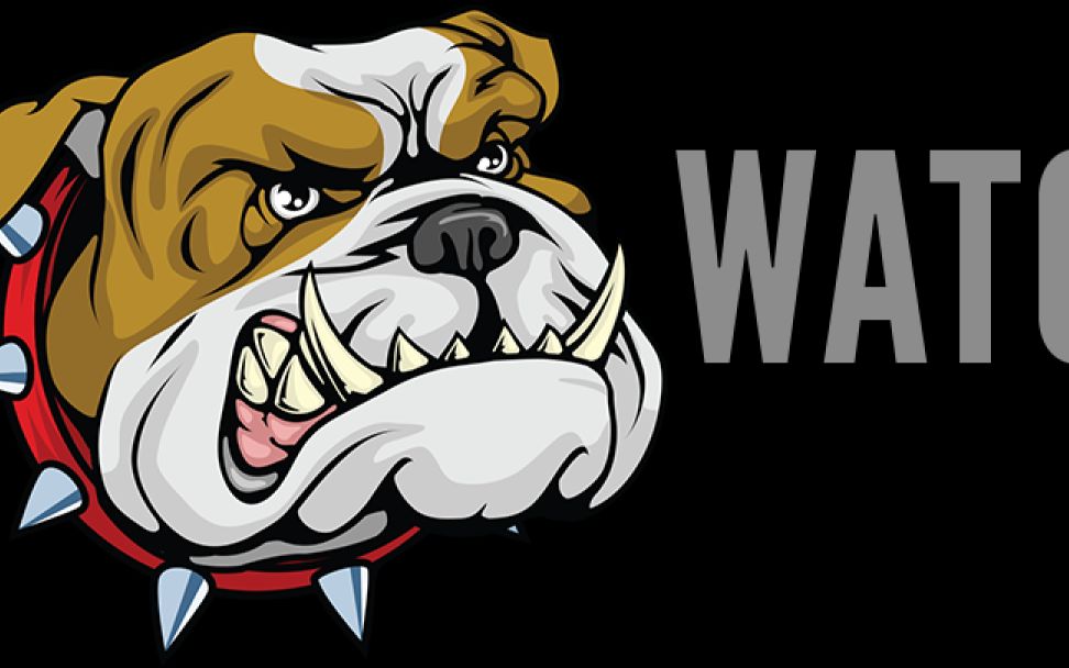 manjaro禁用watchdog