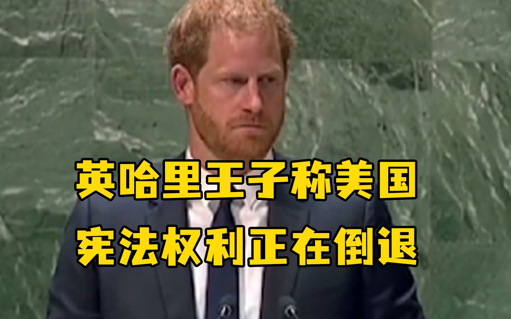 英哈里王子“曼德拉日”联合国演讲:美国的宪法权利正在倒退哔哩哔哩bilibili