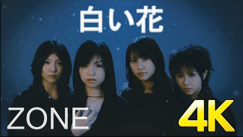 Zone 白い花mv 4k 60fps 哔哩哔哩 Zone 白い花mv 4k 60fps 哔哩哔哩