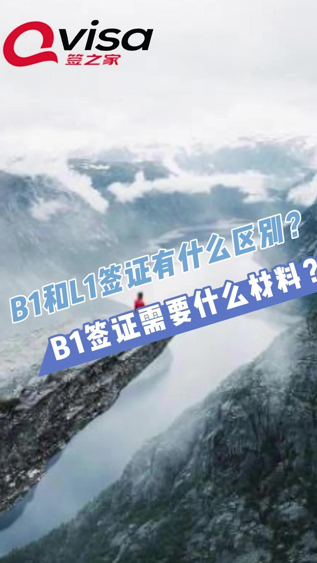 B1和L1签证有什么区别?申请B1签证需要什么材料?哔哩哔哩bilibili