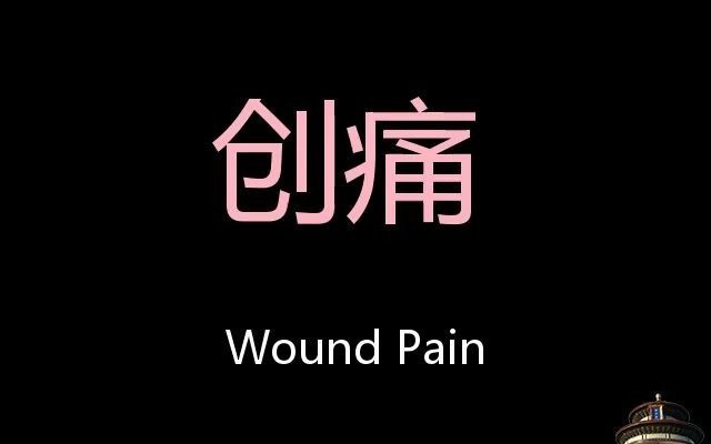 创痛 Chinese Pronunciation Wound pain哔哩哔哩bilibili