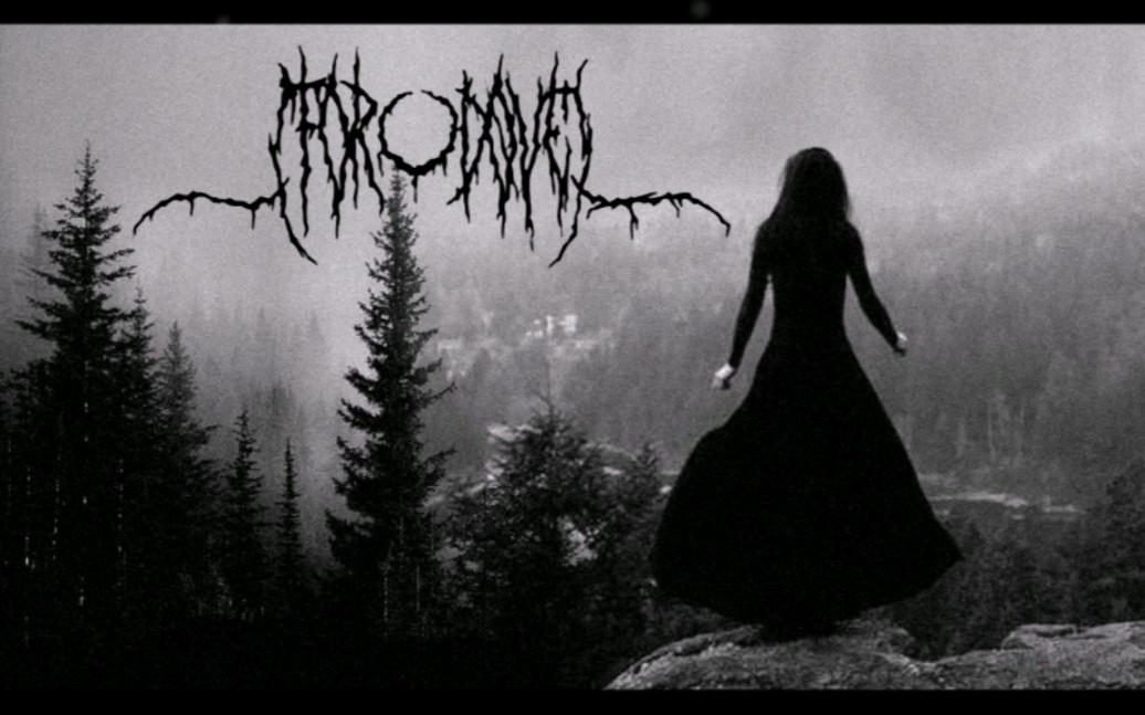 美国抑郁黑金属for d03ve - besmirch