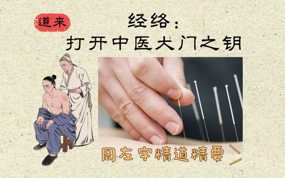 【周左宇医道精要01】经络:打开中医大门之钥哔哩哔哩bilibili