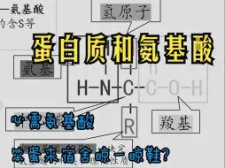 下载视频: [高中生物必修一课件]蛋白质的功能、氨基酸