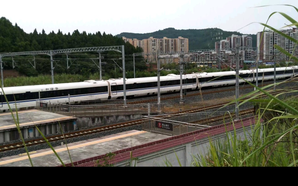 重联crh3a担任d1982次列车(面皮北―重庆北)达速通过阆肿站