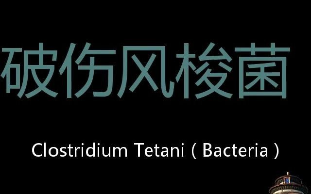破伤风梭菌chinesepronunciationclostridiumtetanibacteria