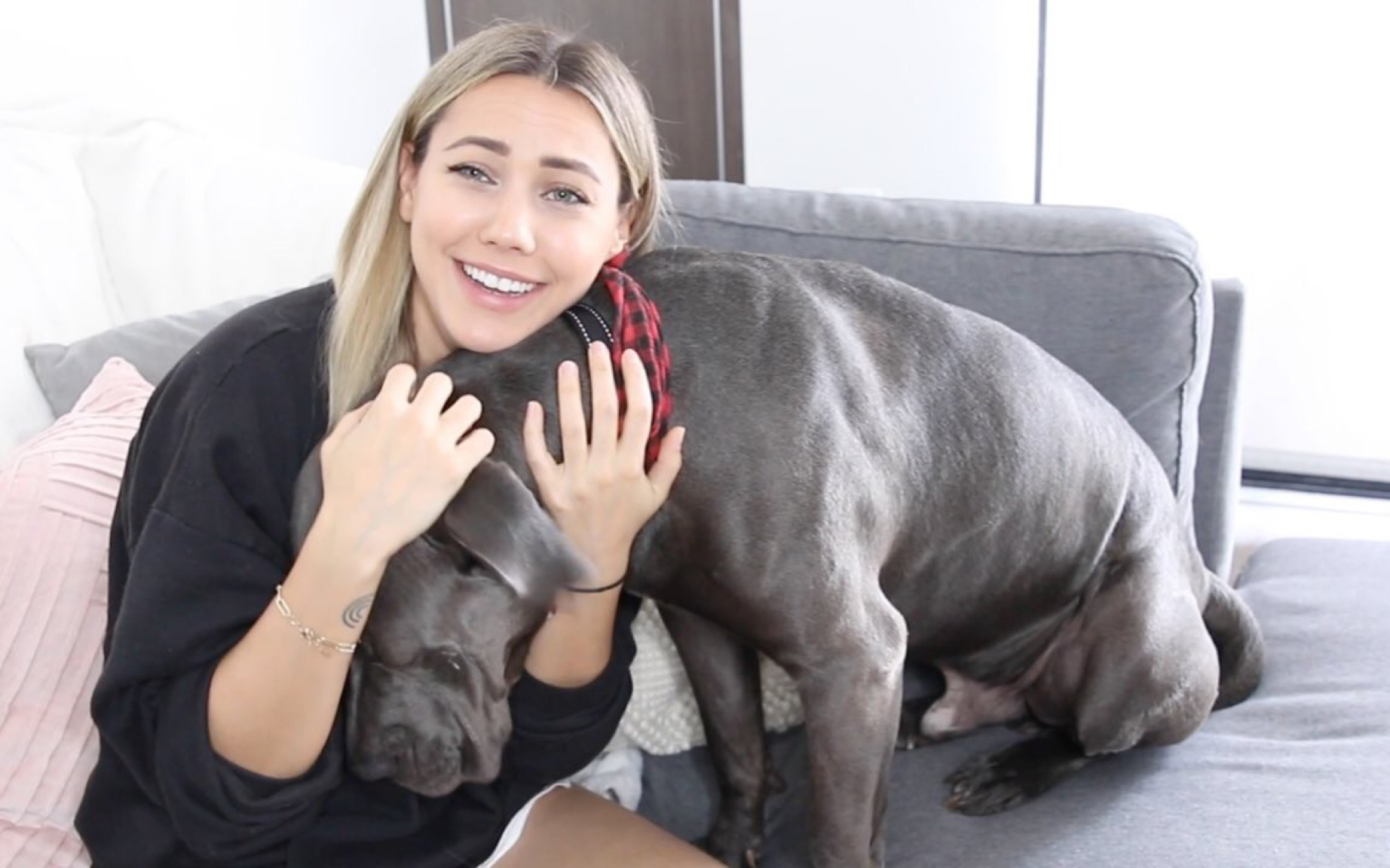 【cammie scott】meet my 85lb dog_哔哩哔哩_bilibili