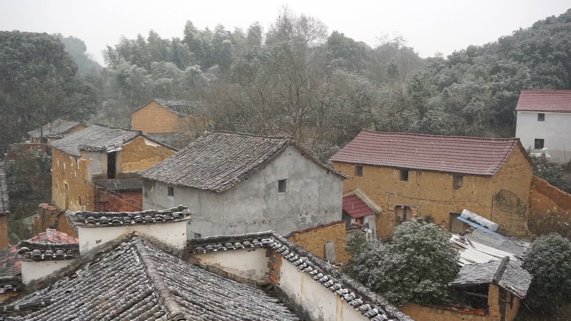 [图]南方开始飘雪了