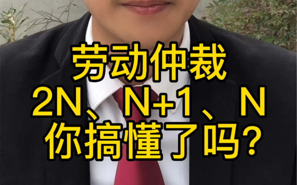 劳动仲裁2N、N+1、N,你搞懂了吗?哔哩哔哩bilibili