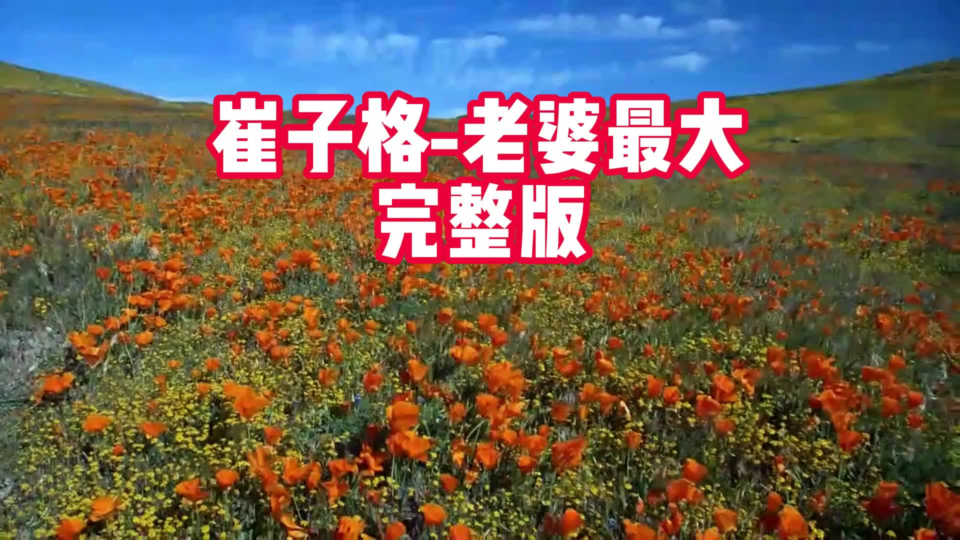 风景 超好听的伤感音乐,伤感歌曲:崔子格-老婆最大