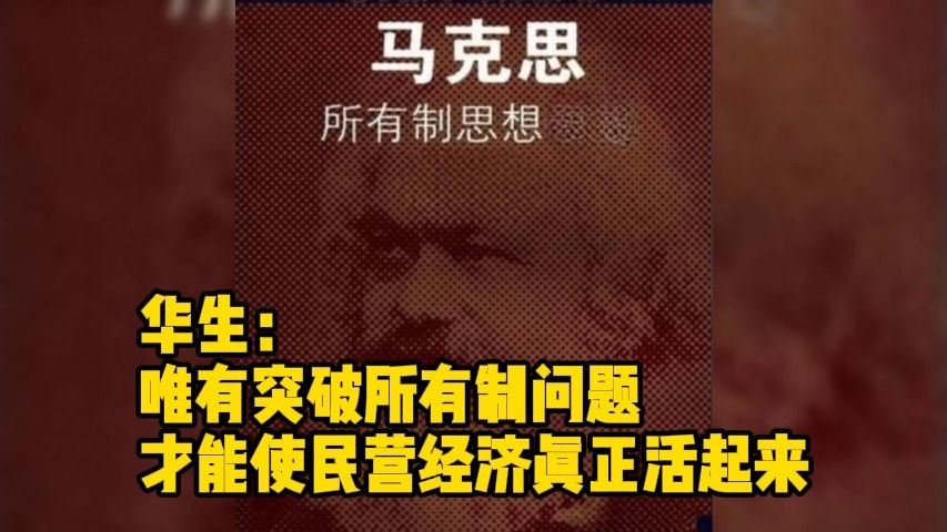 华生:唯有突破所有制问题才能使民营经济真正活起来哔哩哔哩bilibili