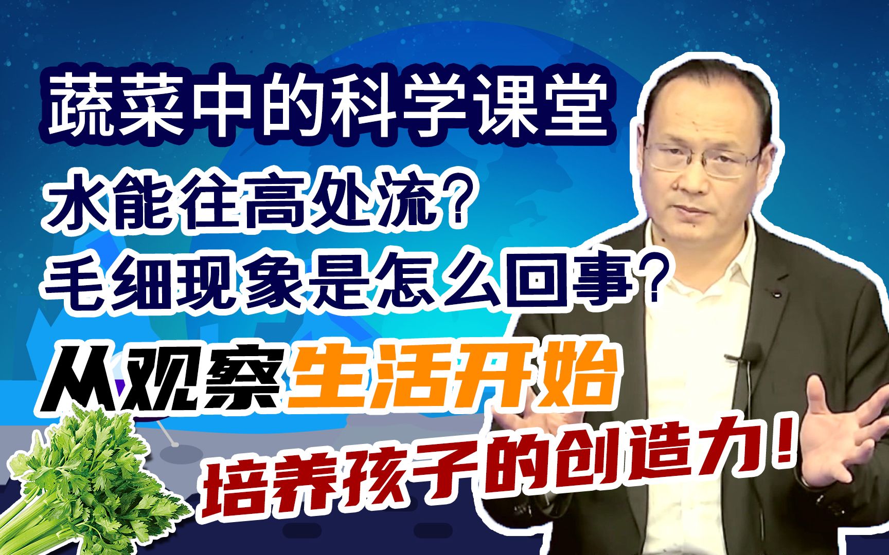 水往高处流?毛细现象?农药残留?蔬菜中的科学课堂,引导孩子观察生活,培养创造力 | OFPU物理科学教育哔哩哔哩bilibili