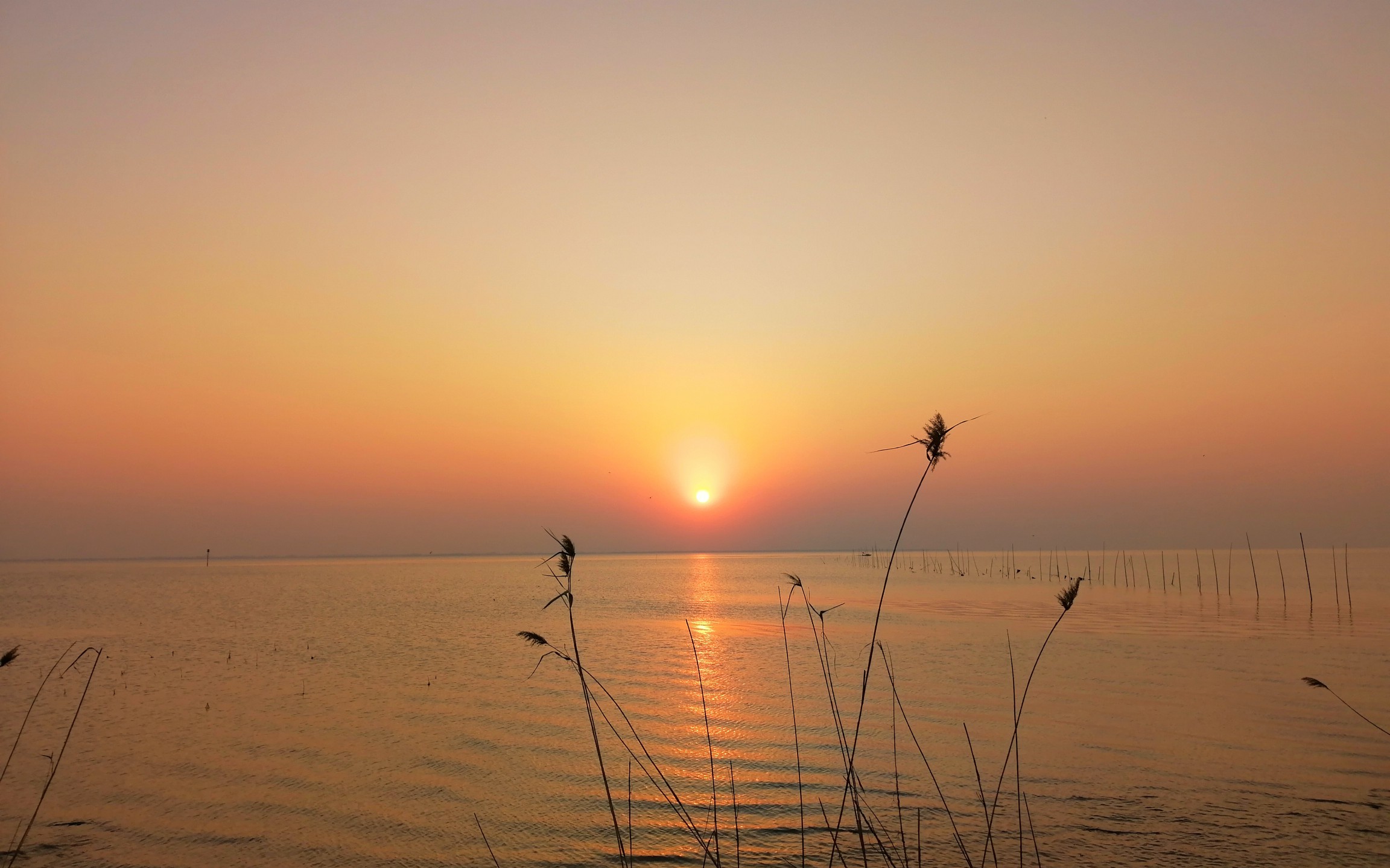 vlog#扬州高邮湖看落日,不愧汪曾祺的故乡