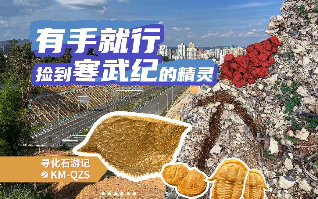 昆明化石游记02QZS哔哩哔哩bilibili