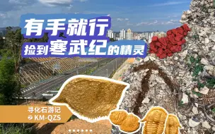 Tải video: 昆明化石游记02-QZS