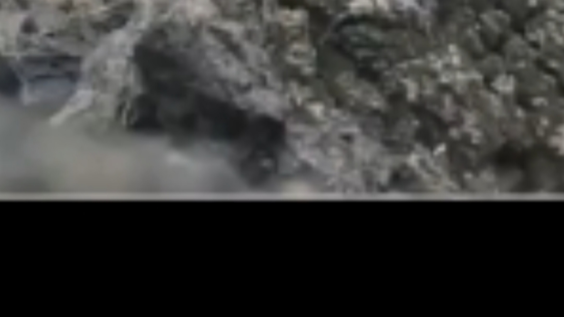 [论战]阿贝利龙科之争—胜王龙vs玛君龙