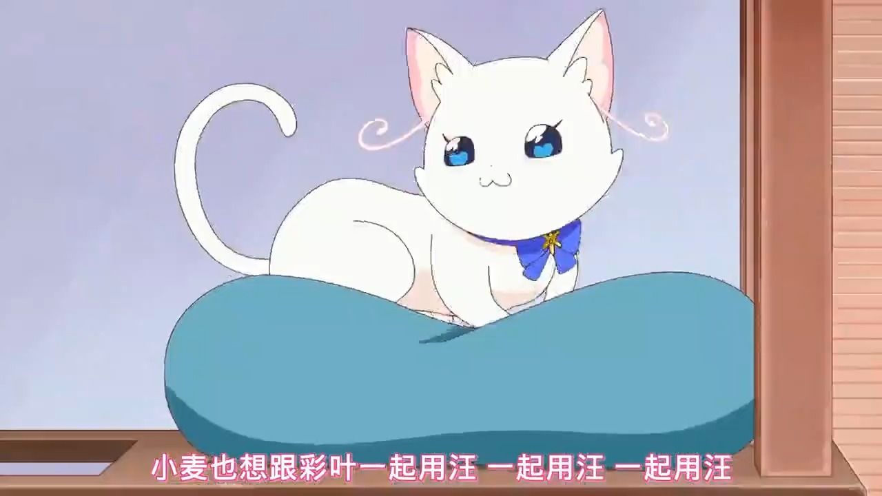 wonderful 光之美少女! 第6话 预 告