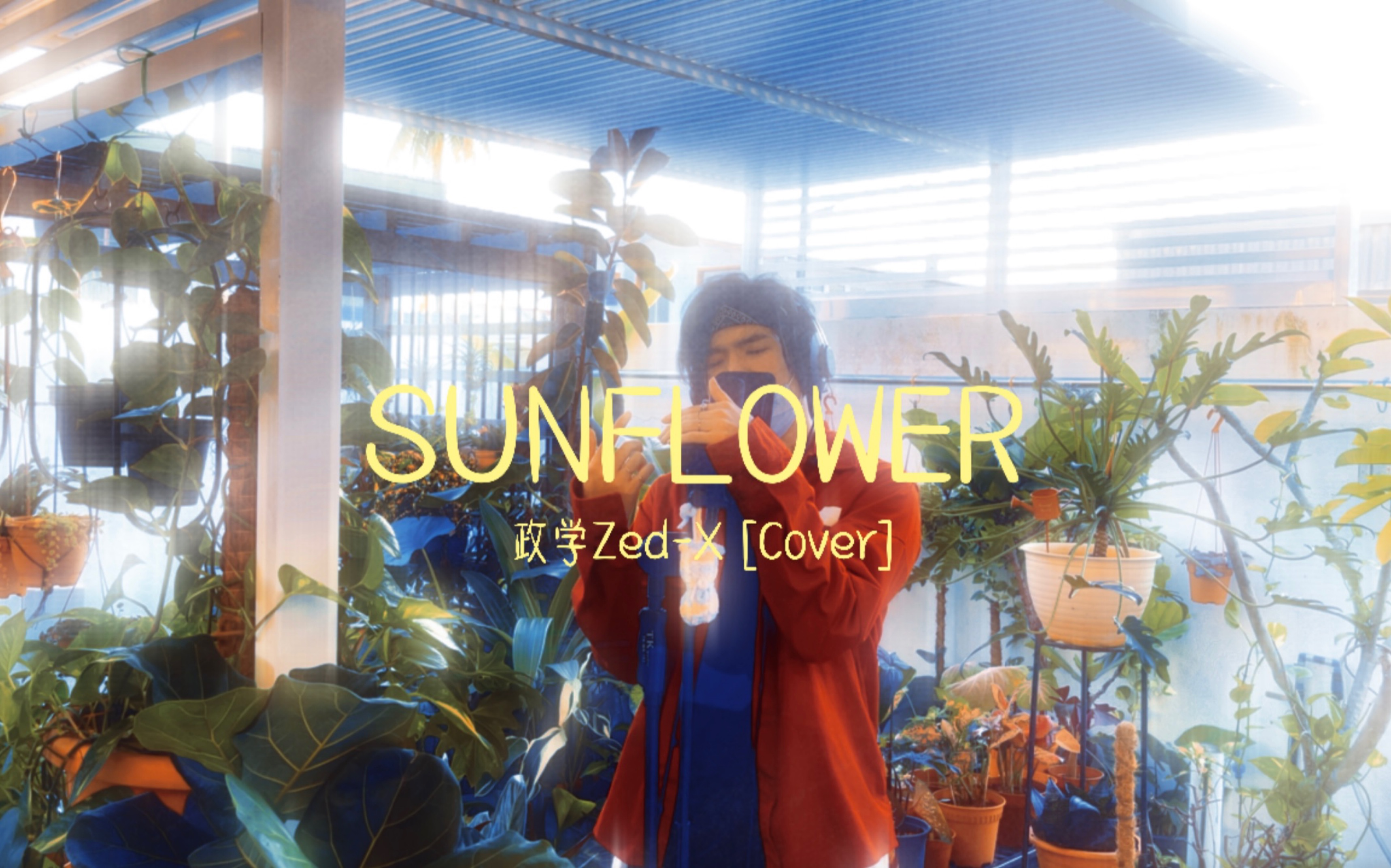 当马龙sunflower遇上钢琴