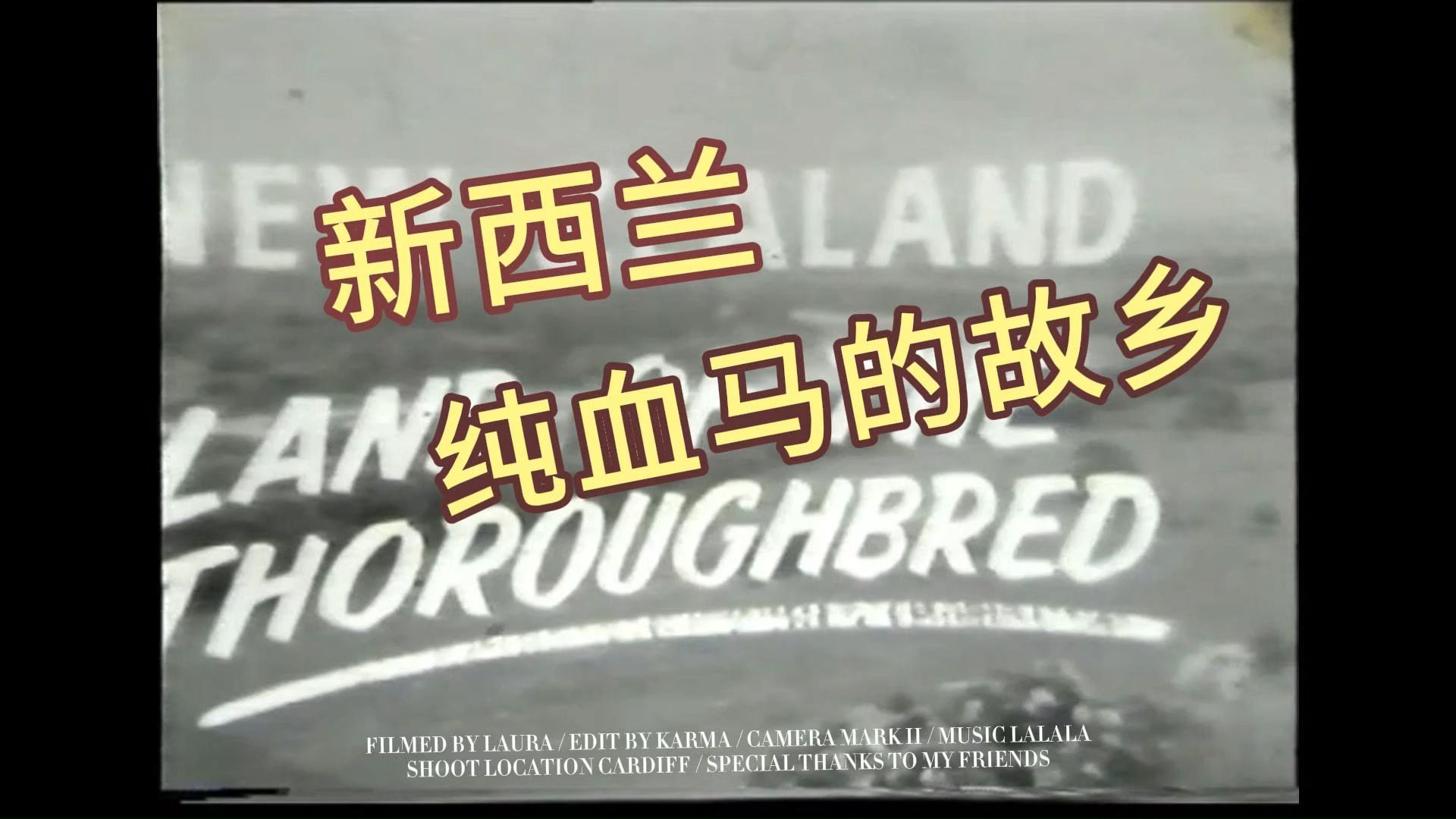 穿越百年,重温新西兰纯血马的辉煌历史